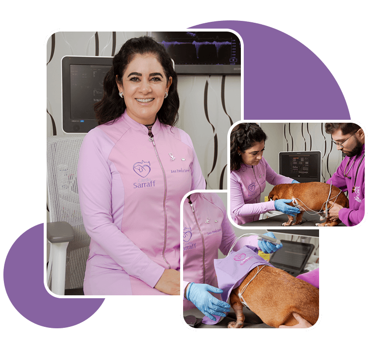 Serviços Cardio Sarraff